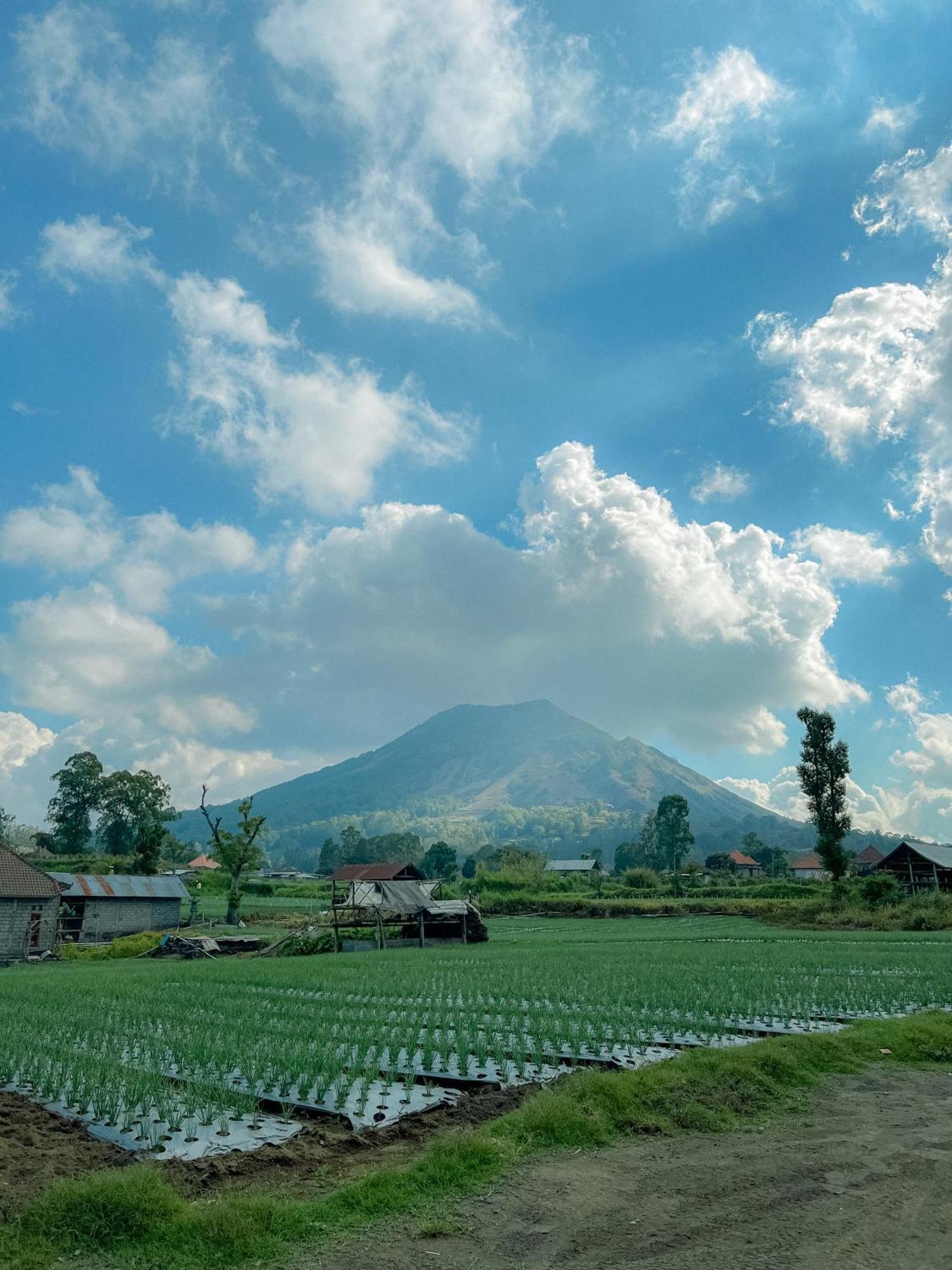 Volcano Garden Kubupenlokan Ngoại thất bức ảnh
